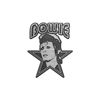 David Bowie speld - Aladdin Sane